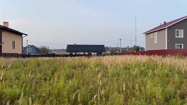 Купили участок! Смотрим что на нем есть! смотреть онлайн