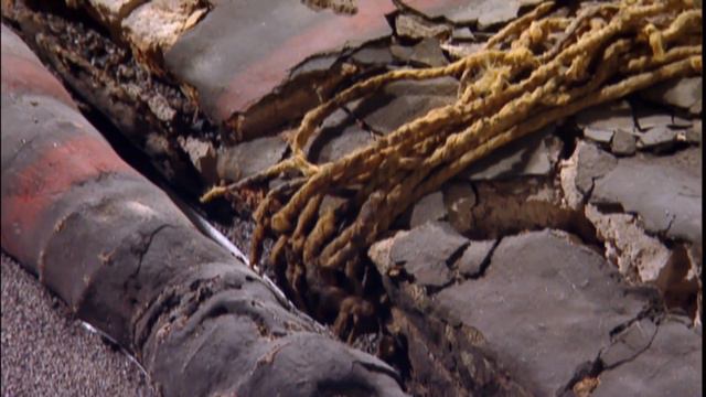 «И НА ЕГИПЕТ СМОТРЯТ СВЫСОКА...»: ДОИСТОРИЧЕСКАЯ НЕТЛЕНКА — ТОП-5 ДРЕВНЕЙШИХ МУМИЙ ПЛАНЕТЫ смотреть онлайн