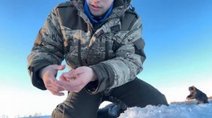 Обычная ГРЕЧКА как прикормка Творит Чудеса