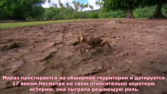 Путешествие в рай ч.12 смотреть онлайн