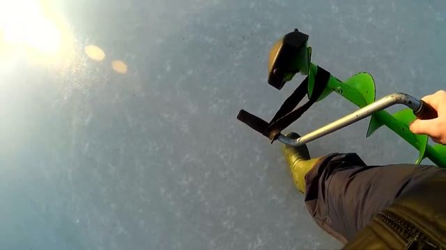 О мотыле для зимней рыбалки,советы по наживке,что ловится,как хранить и насаживать,советы рыболову. смотреть онлайн