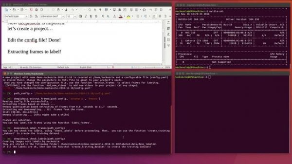 Tutorial Part I: DeepLabCut- How to create a new project, label data, and start training
