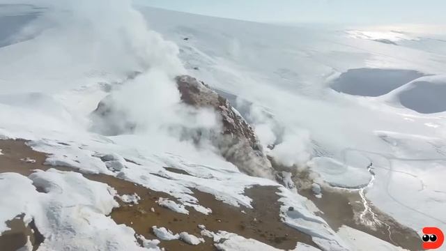 Стедикам DJI RS 3 смотреть онлайн