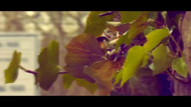 kleines Testvideo (Panasonic HC-V500M) Sony Vegas смотреть онлайн