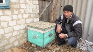 Электро обогрев пчёл/Подогрев ульев/Обогрев пчел весной