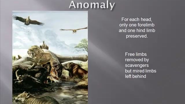 Pleistocene Mammals Of North America: Treasures From The La Brea Tar Pits