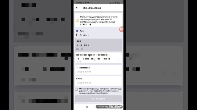 Декларация тапсыру 250 форма смотреть онлайн