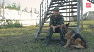 Перевозка собак верхом на лошади