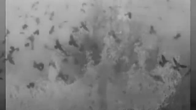 "Поклон солдату", музыка и стихи Н. Мозгового, исполняет детский хор "Орфей" смотреть онлайн