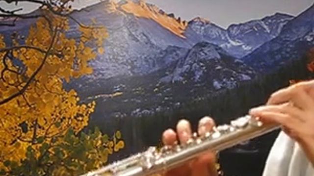 Muramatsu AD Flute (Used) - Heavy Wall - Sound Demo смотреть онлайн