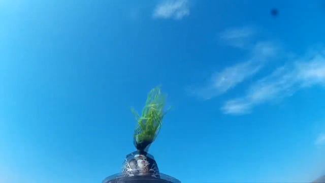 Как ведет себя мотохвост на скорости 180+ смотреть онлайн