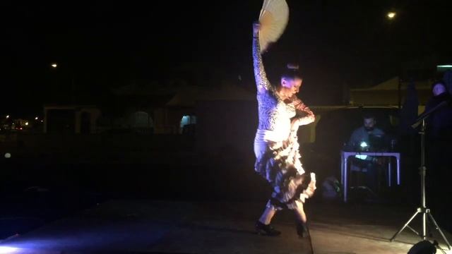Silvia Ponte- Coreografa y Bailarina Danza Española y Flamenco смотреть онлайн