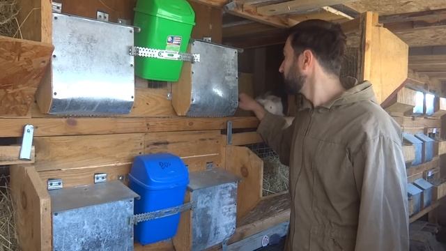 КРОЛИКОВОДСТВО \Изменения на ферме\проверка маточников смотреть онлайн