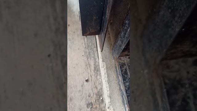 Супер средство от мух смотреть онлайн