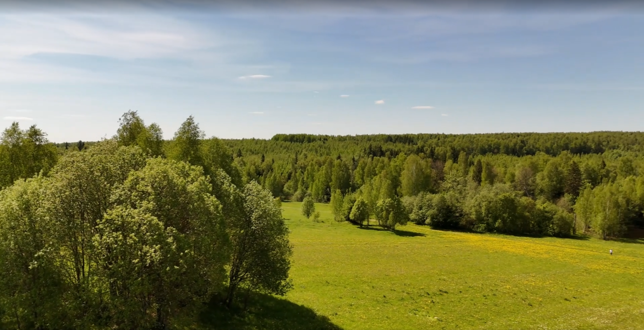 Хорошее настроение музыка красивые кадры смотреть онлайн