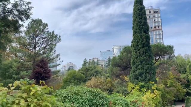 Дендрарий в Сочи/самый лучший парк который я видела|Sofi Milirian смотреть онлайн