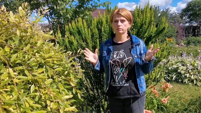Итоги кризисного сезона смотреть онлайн
