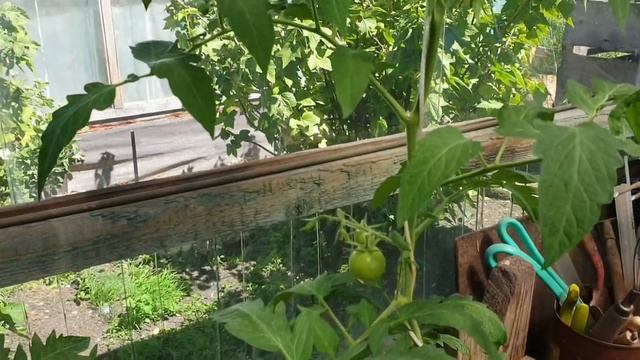 На даче немного поработали и отдыхали смотреть онлайн