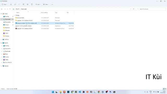 ⭐ Lập trình Java - Hướng dẫn cách Cài đặt JDK trên Windows từ Oracle và AWS hiệu quả và dễ hiểu. смотреть онлайн
