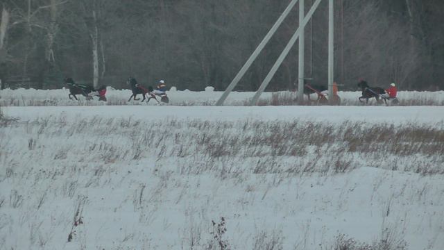 15.02.2020 г. 3-й заезд Приз имени Новотомниковского к/з смотреть онлайн
