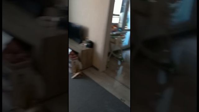 Строительная экспертиза - залив кипятком, потекли обои в ЖК Светла Долина г. Казань смотреть онлайн