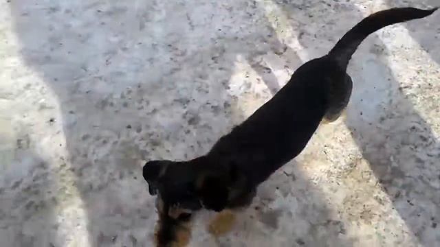 Рыболовное Богатство