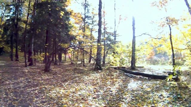 Кофе из желудей. Дары природы вместо пенсии! смотреть онлайн