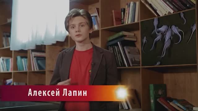 "В МИРЕ ЖИВОТНЫХ" С АЛЕКСЕЕМ ЛАПИНЫМ смотреть онлайн