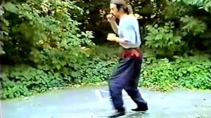 кунг фу вин чун JKD шаги и удары