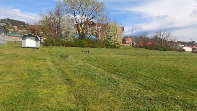 Sharper Image Thunderbolt Stunt Drone Review смотреть онлайн