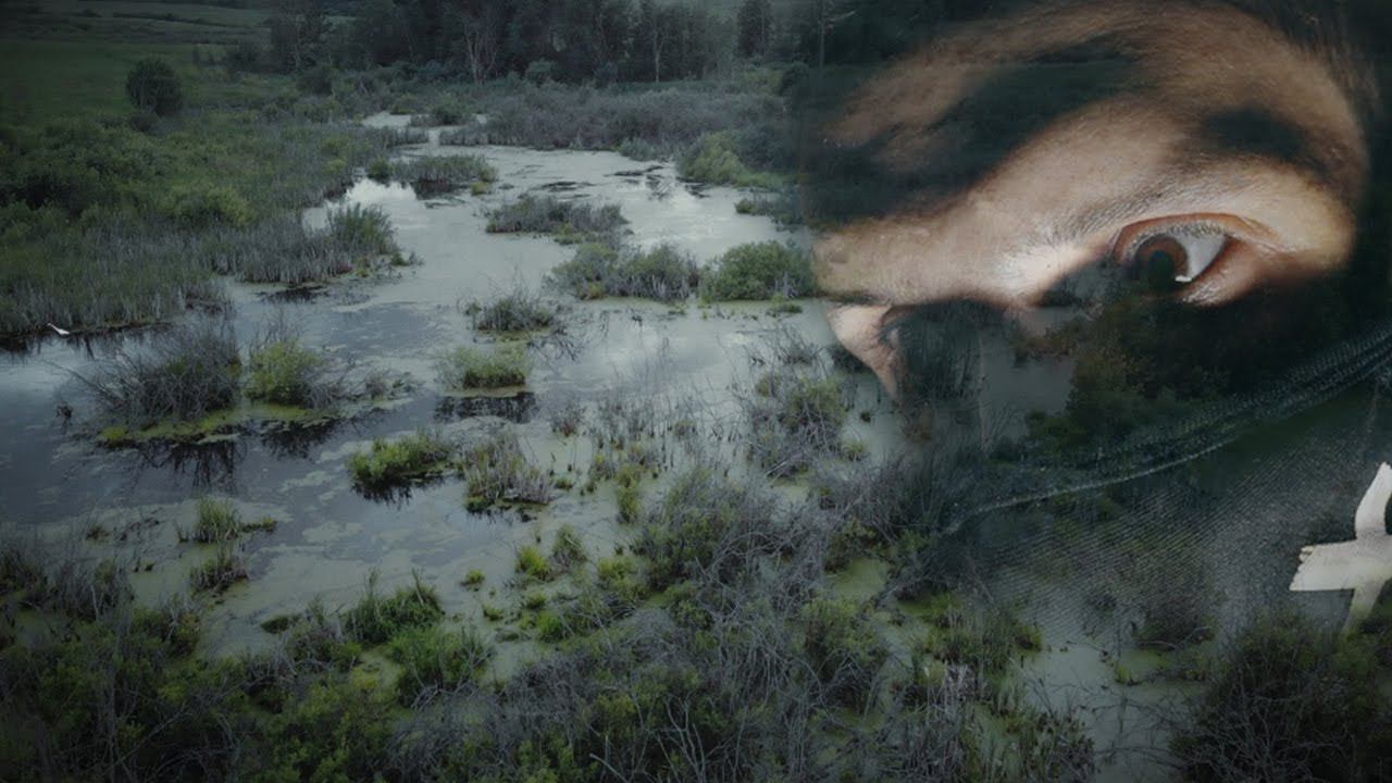 САМОЕ СТРАШНОЕ БОЛОТО В РОССИИ The Scariest Swamp In Russia