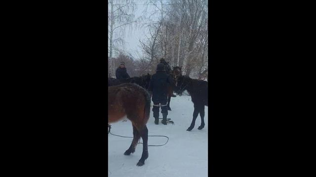 Карабалин Медет " Моя инициатива-моей Родине!" смотреть онлайн