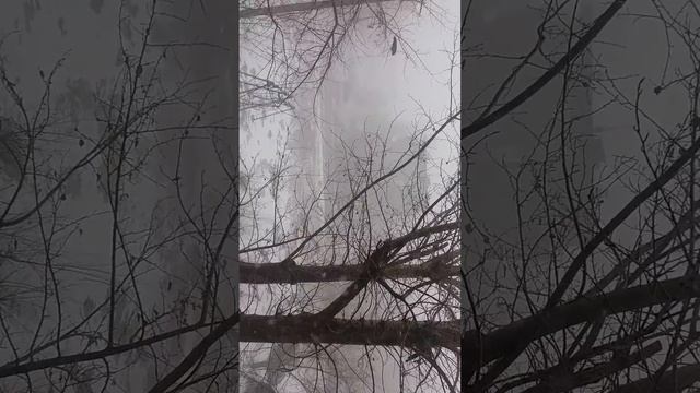 Погода в экибастузе 29.12.2015 смотреть онлайн