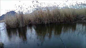 Рыбалка на КМВ, Железноводск