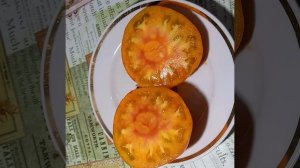 Томат БАБУШКИ ВИНЕЙ ЖЕЛТО- РОЗОВЫЙ в разрезе. Коллекционный сорт. Ярословская обл.