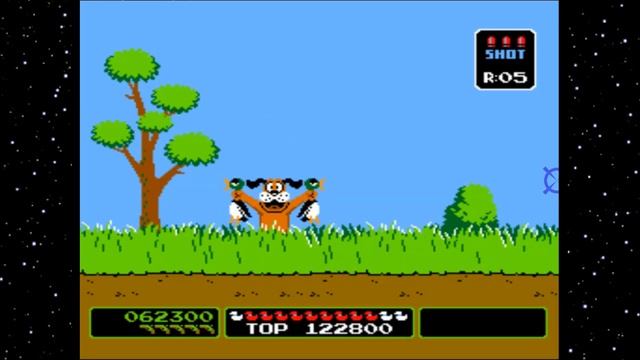 (VS Duck Hunt Arcade Game) Unlimited Shots - Arcade Cheat Codes смотреть онлайн