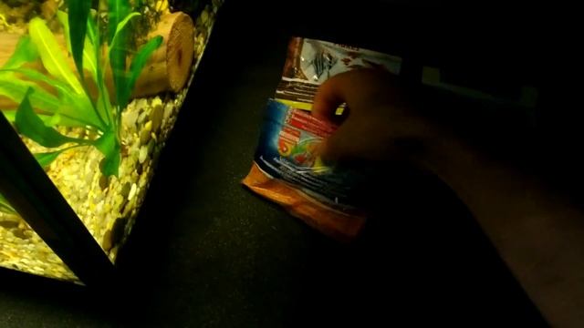 Как правильно кормить аквариумных рыбок. Чем, сколько и как часто. смотреть онлайн