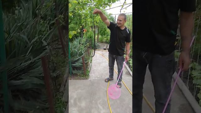 Змея во дворе! Ловец змей смотреть онлайн