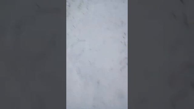 Новый Год в Шушенском(1) смотреть онлайн