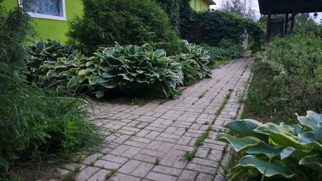 продам свое хозяйство, 70 км от Москвы, ухоженный участок 30 соток, свет, вода, дороги смотреть онлайн