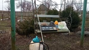 Железный купорос ,30 в  весенняя обработка. Продолжение.