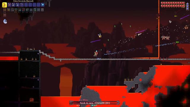 PASSEI 100 DIAS NO TERRARIA 1.4 MASTER C/TODAS CLASSES (CALAMITY) смотреть онлайн