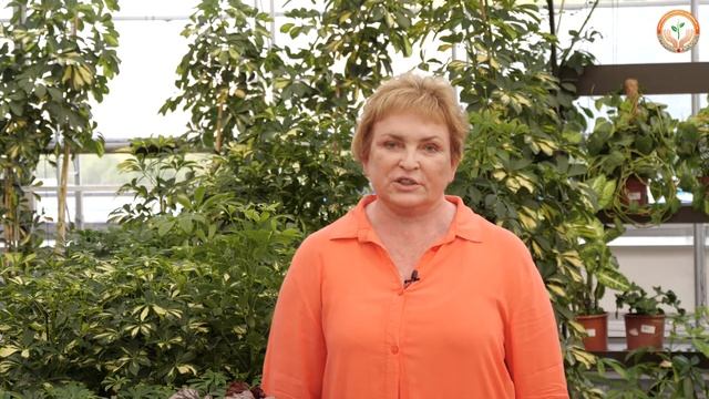 День Рождения Тюменской области 2020 смотреть онлайн