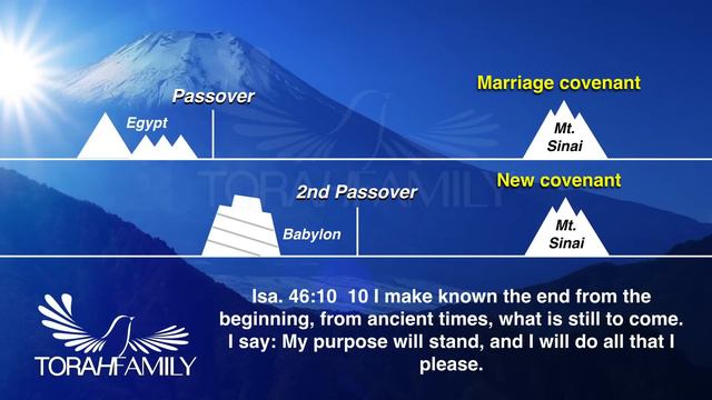 2nd Passover and the Coming Storm - Addendum смотреть онлайн