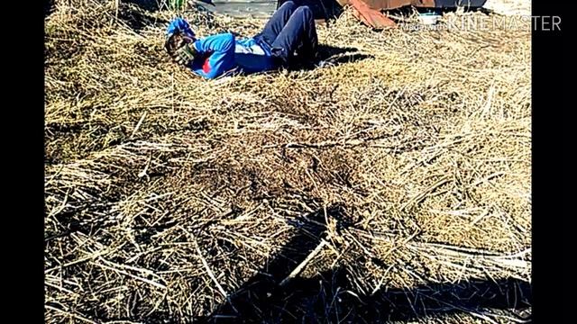 Пульс до и после тренировок смотреть онлайн