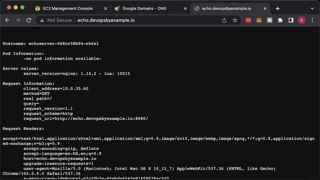 Native EKS Ingress: AWS Load Balancer Controller & 5 Examples (Terraform, TLS, IngressGroup, IP) смотреть онлайн