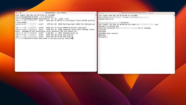 Execute the AURA Script on vManage смотреть онлайн