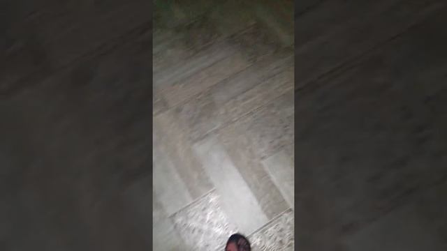 Скрипели полы,вызвали по объявлению,устраняю скрип полов