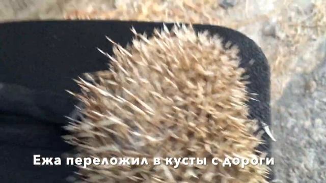 Греция, остров Родос. Пляжи, яхты и страусы за 3 дня смотреть онлайн