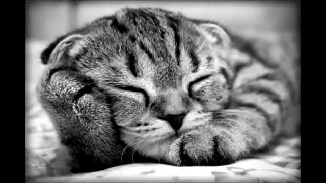 No_name_guest! 2 часа сна :3 смотреть онлайн